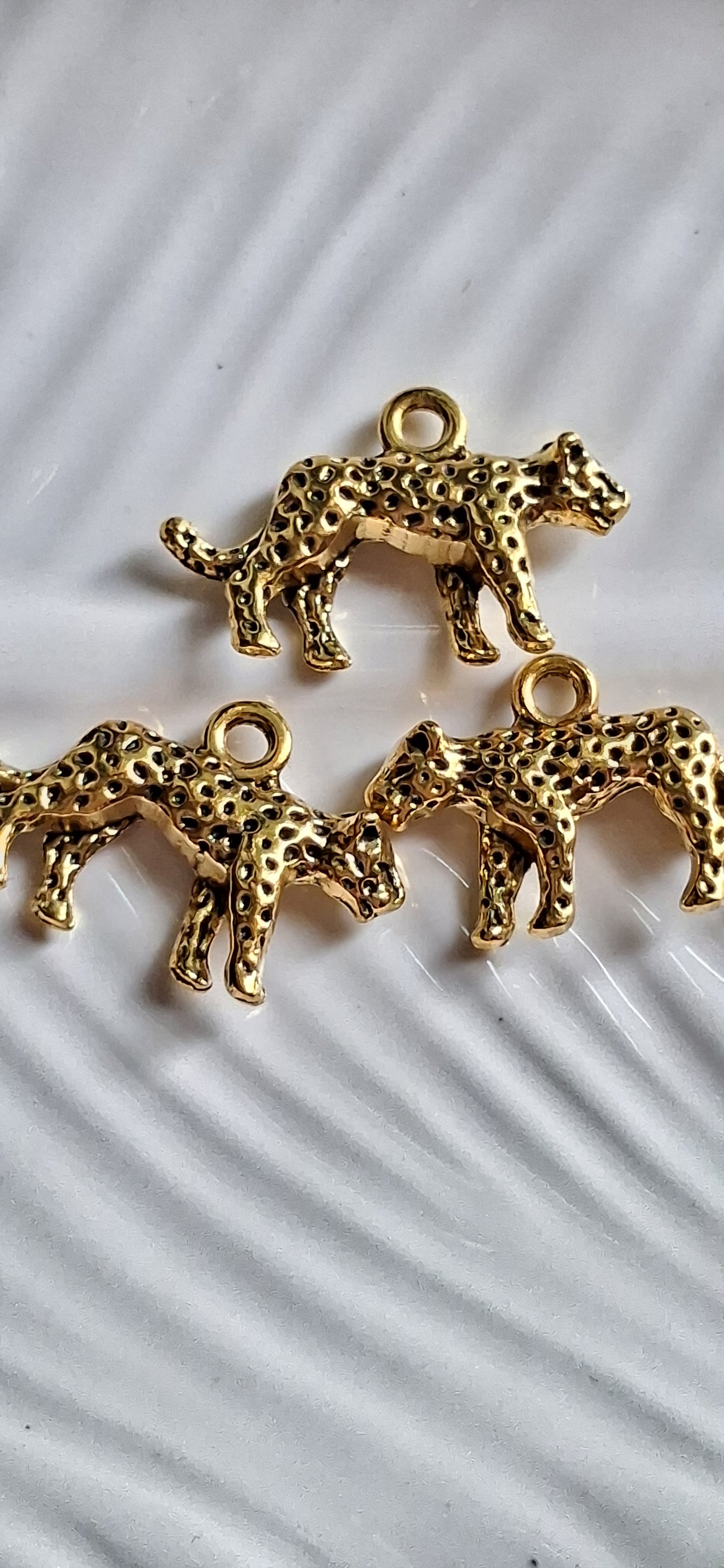 Charm Ghepardo