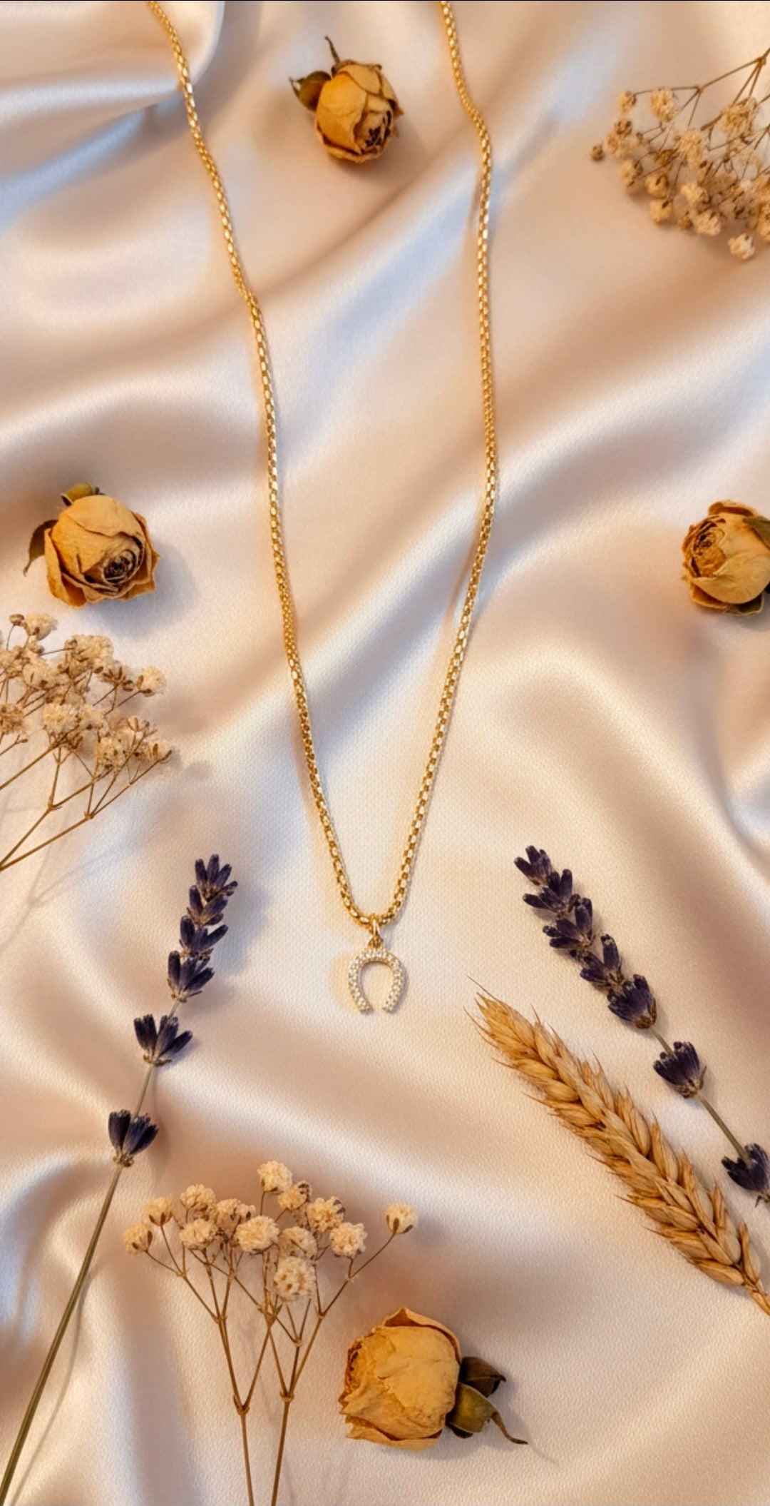 Collana Ferro di cavallo pezzo unico